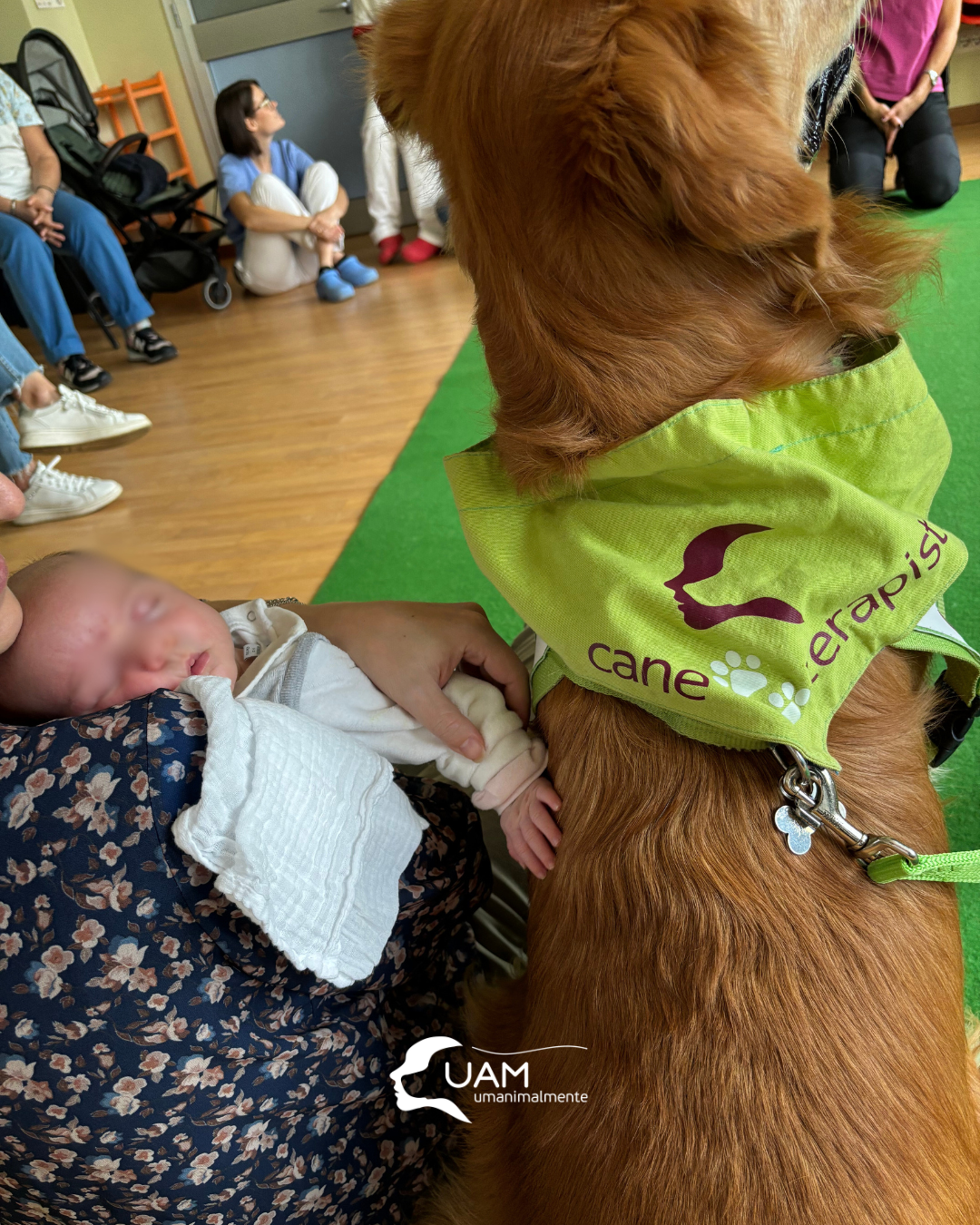 ormetrailibri-hospital/1