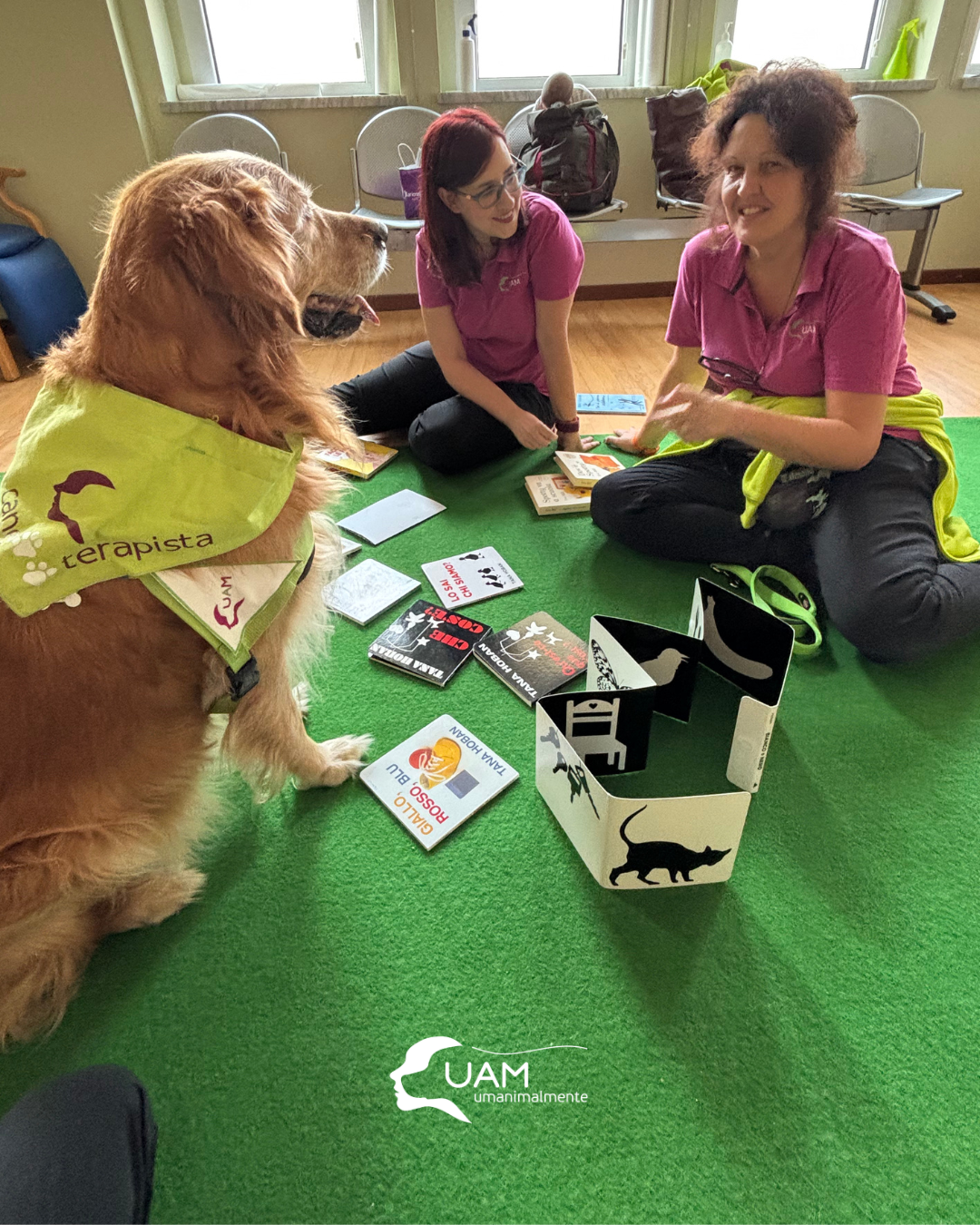 ormetrailibri-hospital/2