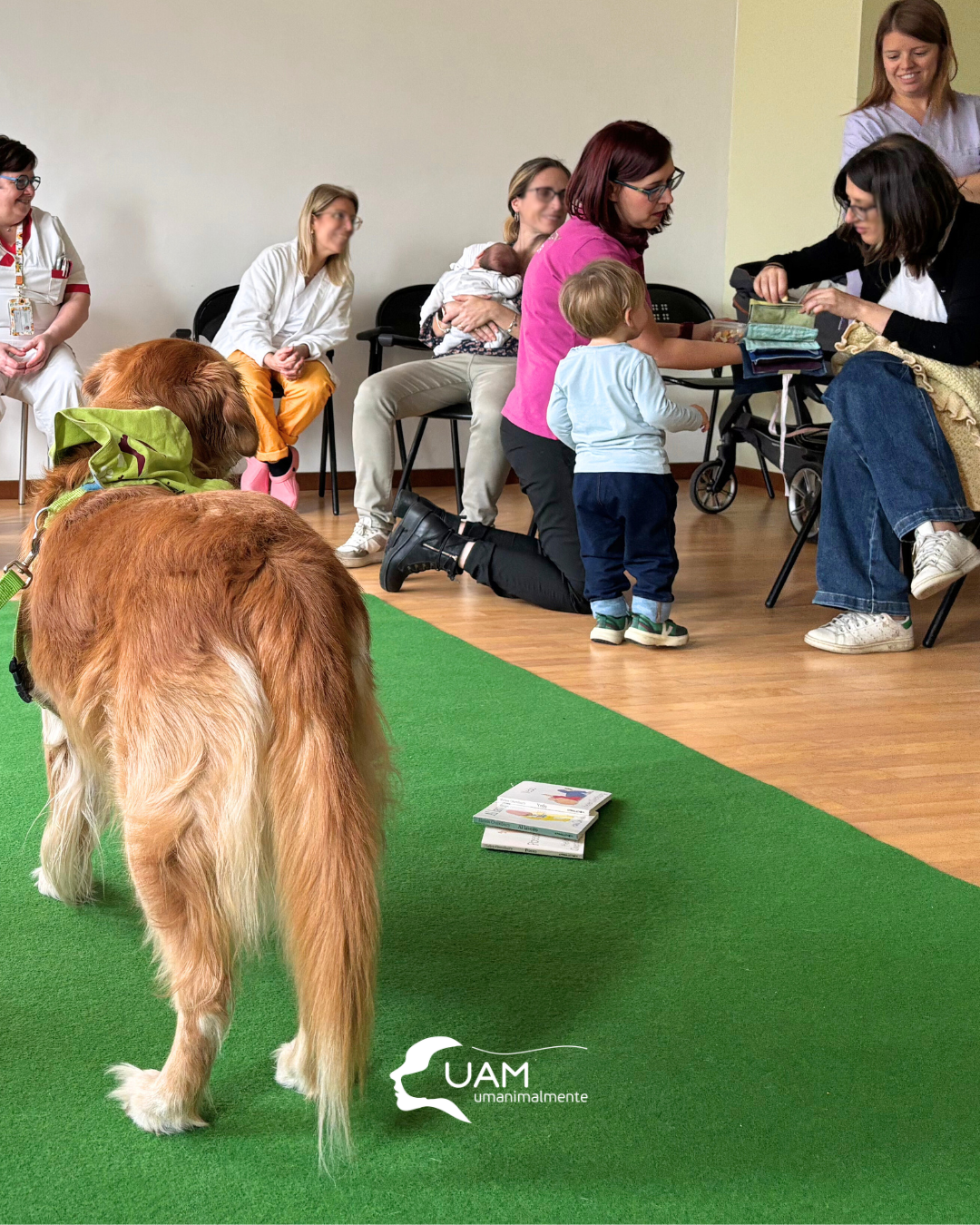 ormetrailibri-hospital/3