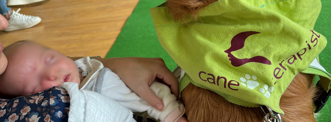 ormetrailibri-hospital/1