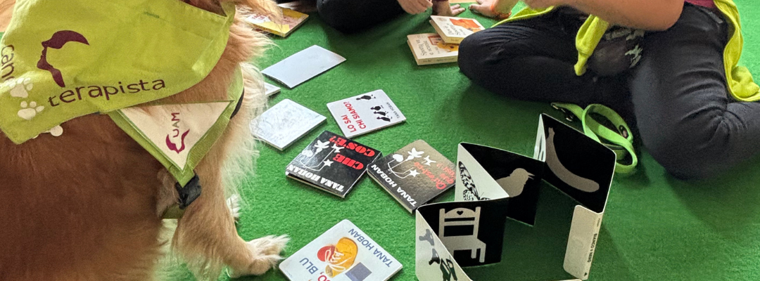 ormetrailibri-hospital/2