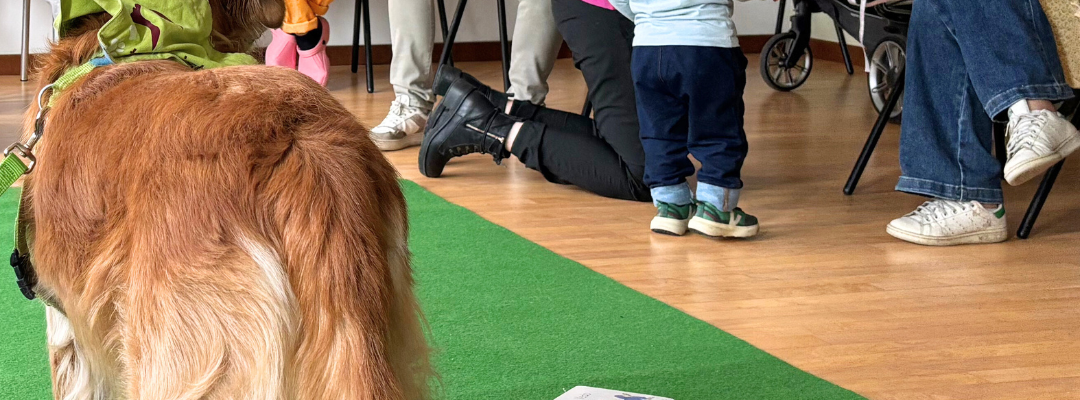 ormetrailibri-hospital/3