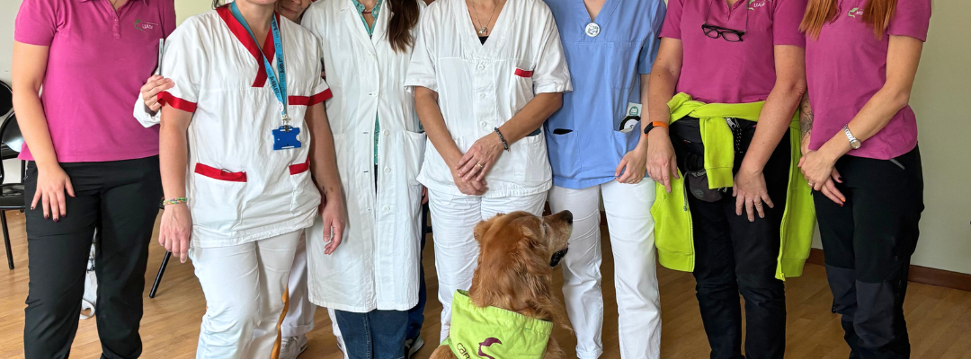 ormetrailibri-hospital/4