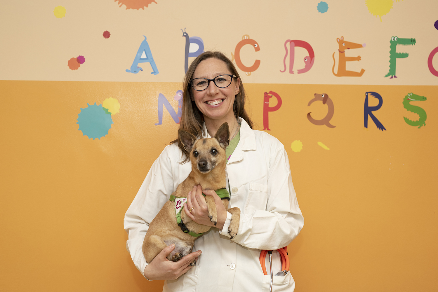 CR_05 CORSO BASE VETERINARIO