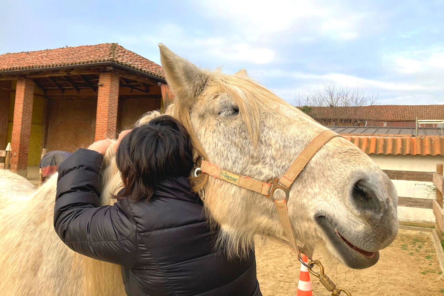 CR_08 CORSO BASE CAVALLO