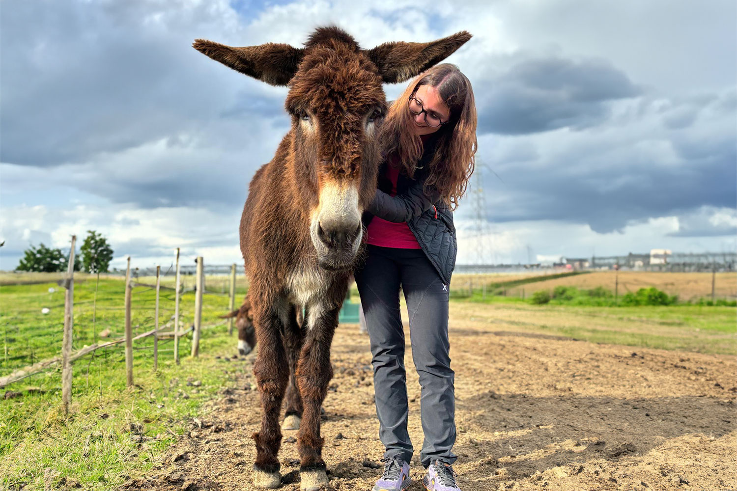 CR_09 CORSO BASE ASINO