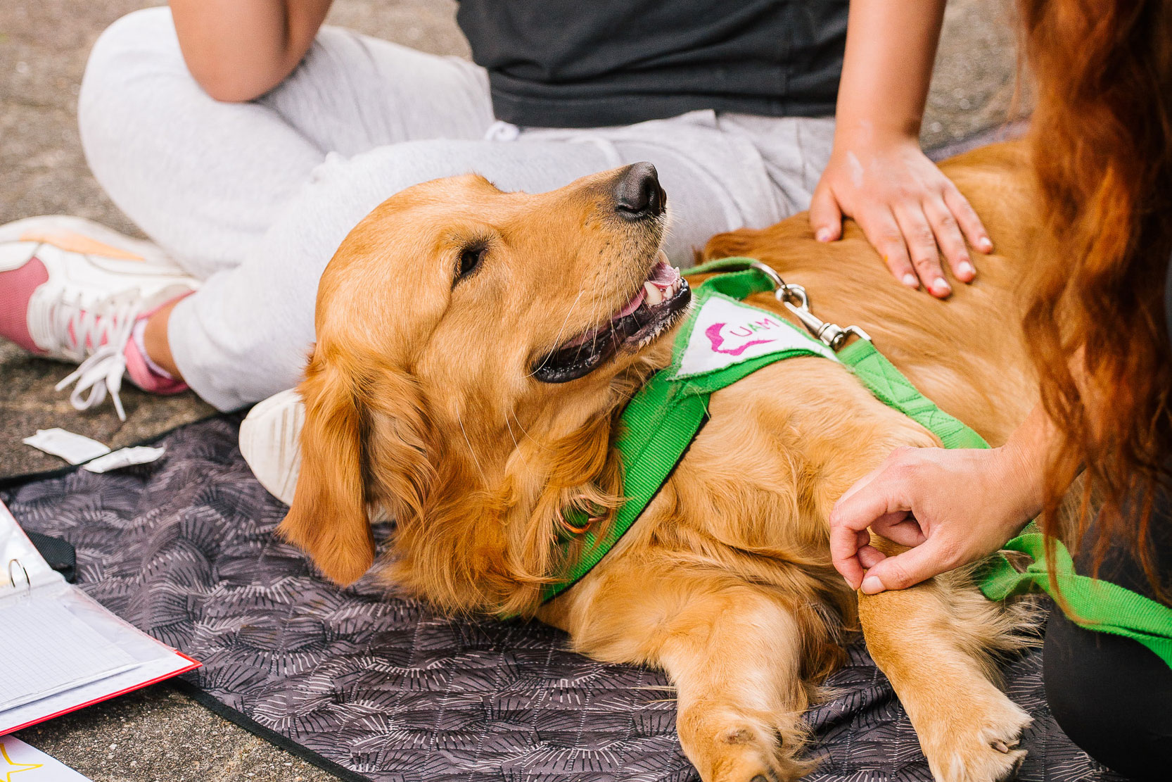 CR_02 CORSO BASE CANE