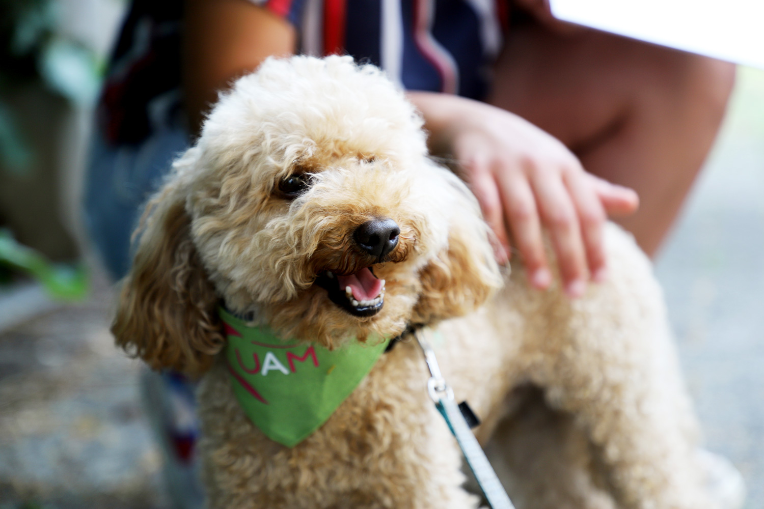 SE_08 PET THERAPY & ME