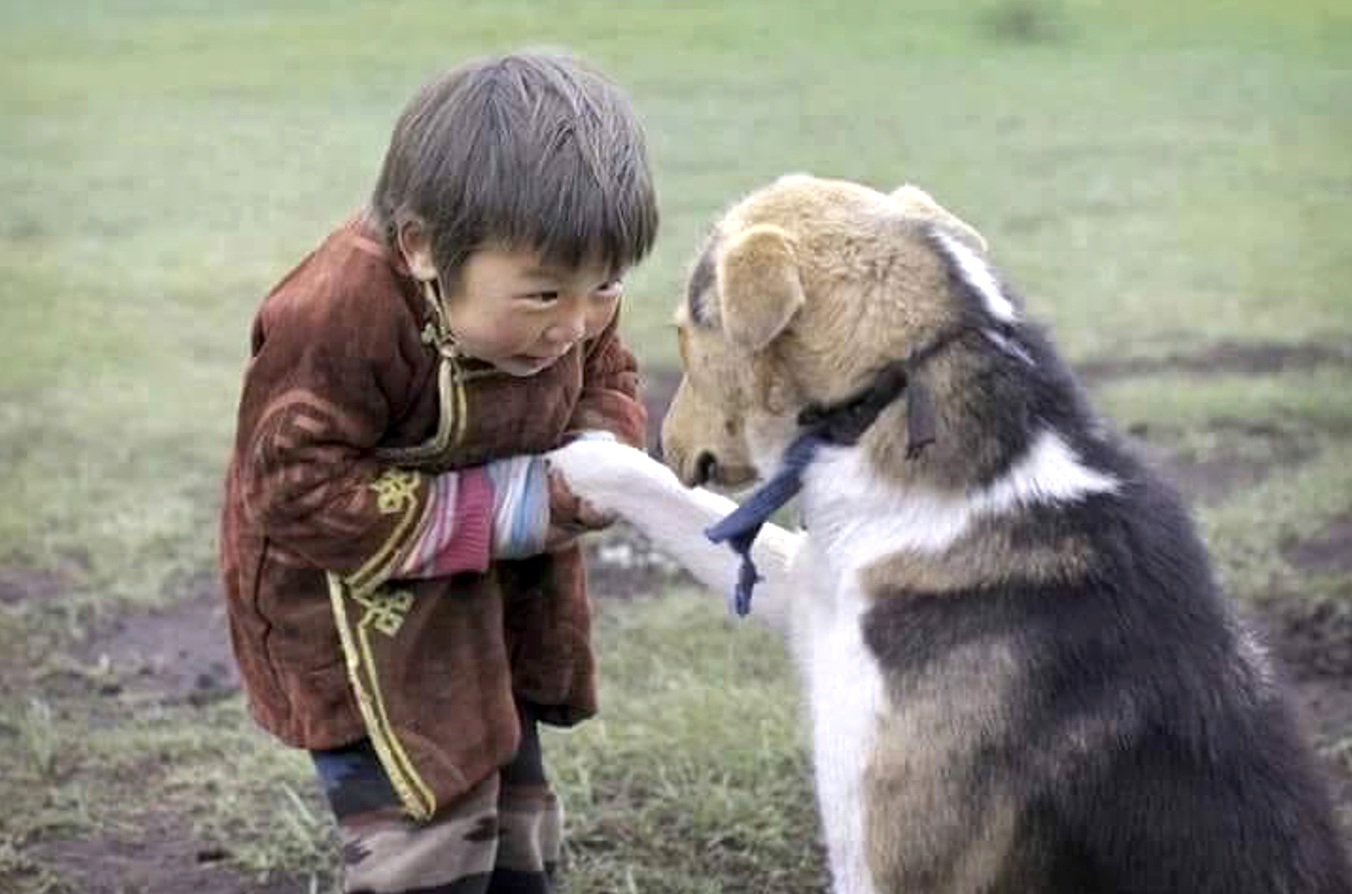 Happy Dog Day! Una giornata internazionale per celebrare il cane