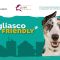 Ritorna Grugliasco DOG Friendly, un percorso per crescere insieme, cane e persona