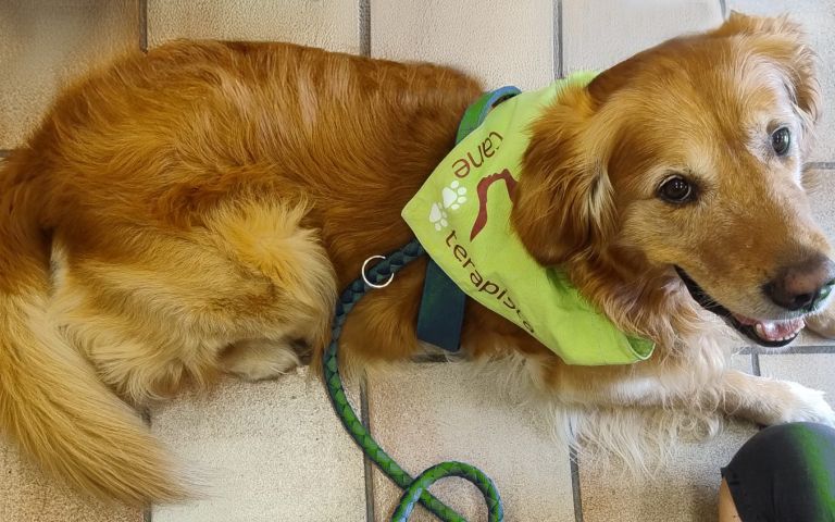 “Orme tra i libri… Hospital”: al Mauriziano letture ad alta voce per mamme e bambini nella settimana dell’allattamento