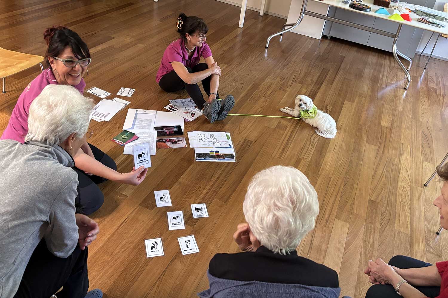 UAM alla Healthy Aging Week 2025: Presentazione di un progetto pilota sugli Interventi Assistiti con gli Animali negli anziani