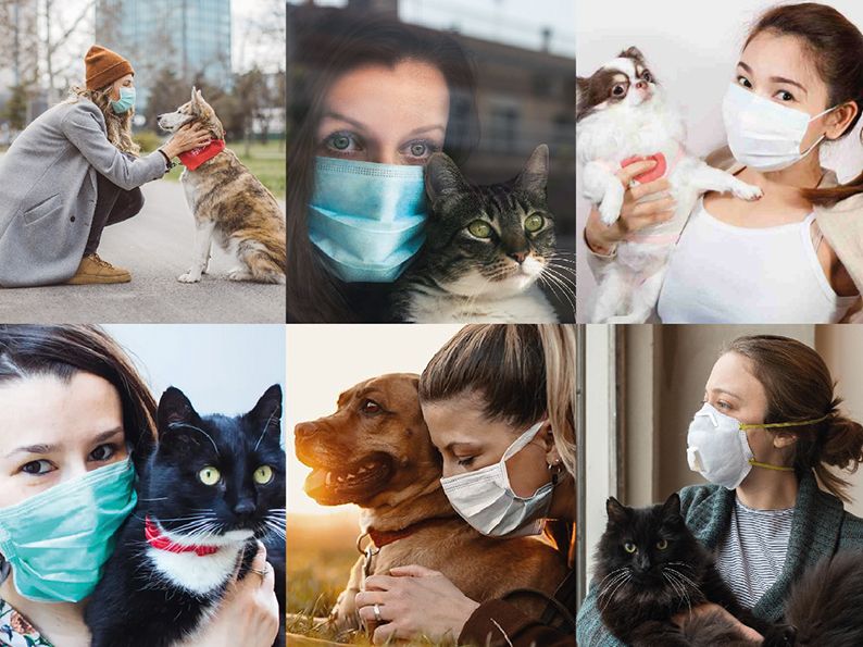 Cani e gatti neutralizzano il virus del Covid-19: le ultime interessanti evidenze scientifiche!