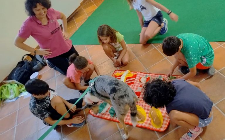 Termina l’edizione 2025 del Progetto Sibling: vivere nel mezzo