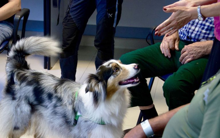 Una Zampa sul Cuore: benessere, scoperta e connessione