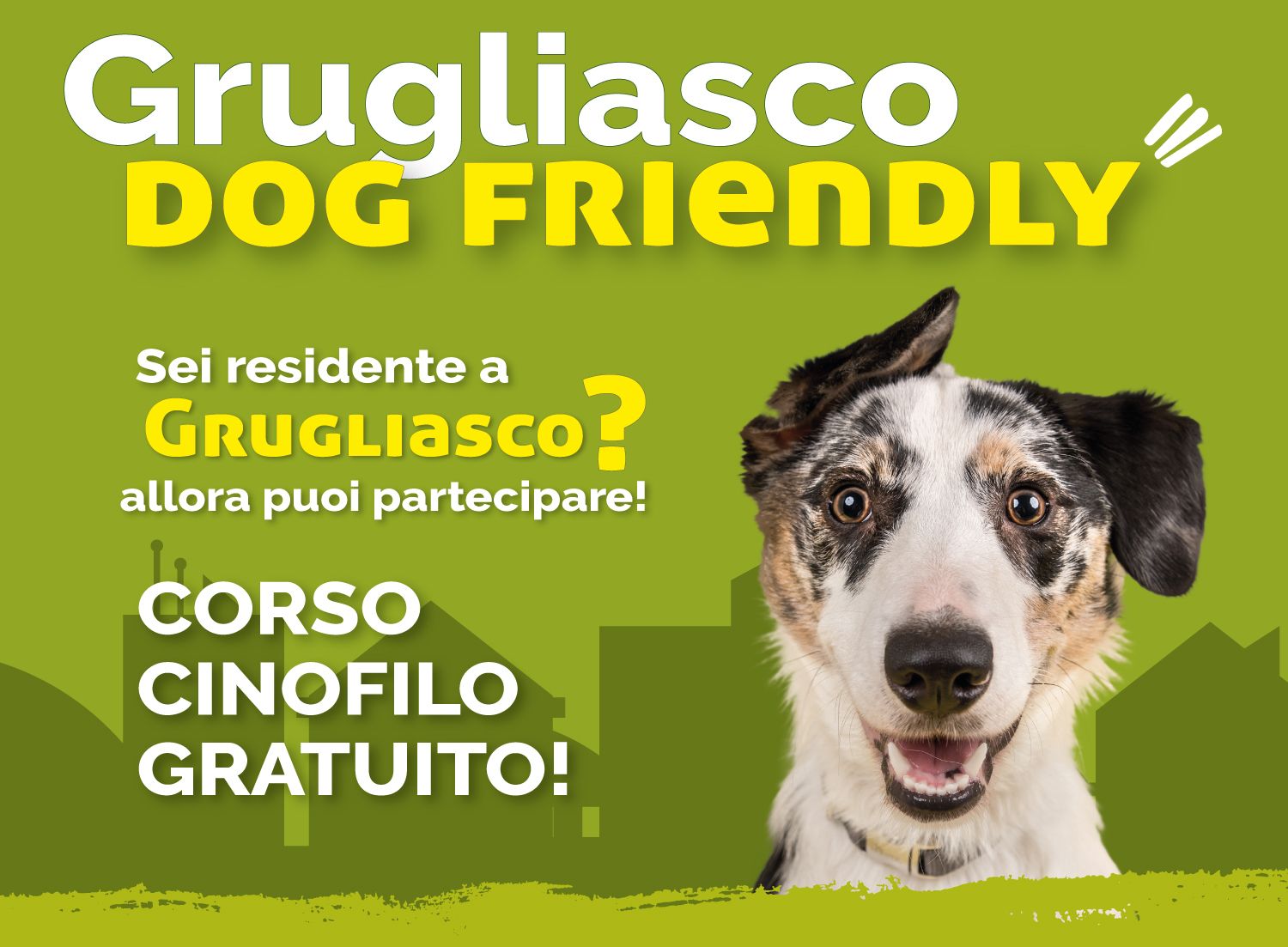 Grugliasco DOG Friendly, un percorso per rafforzare la relazione tra cane e persona