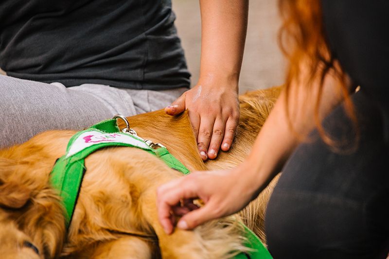 “Io + Te fa Noi: andiamo a caccia di emozioni!” … una ripresa strepitosa