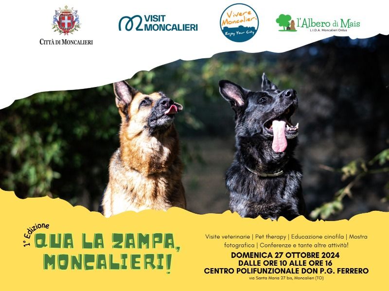 Tu ed il tuo cane: essere felici insieme!